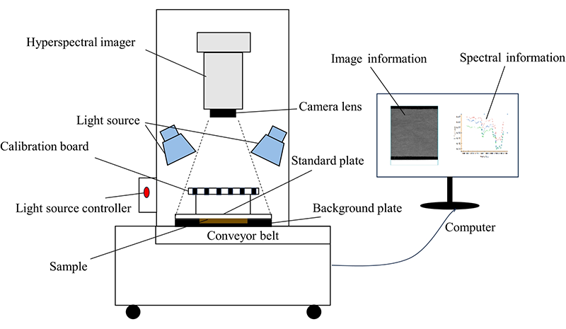 高光谱成像结合BP神经网络的聚酯织物水分含量检测