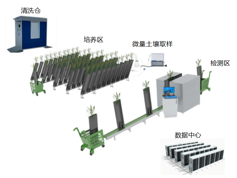 ROOTQUANT-SCAN 植物根系表型成像检测系统