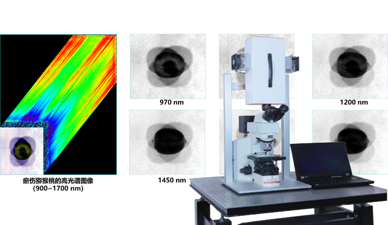 光谱图像预处理与降维：从原始数据到高质量特征提取